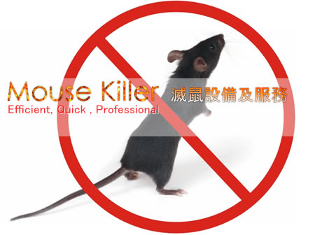 MaзBBX, M Mouse Killer